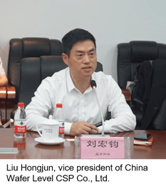 China Wafer Level CSP